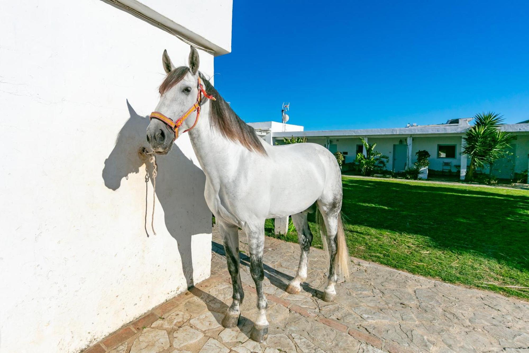 タリファCasa Rural Con Terraza Privada IIIアパートメント エクステリア 写真