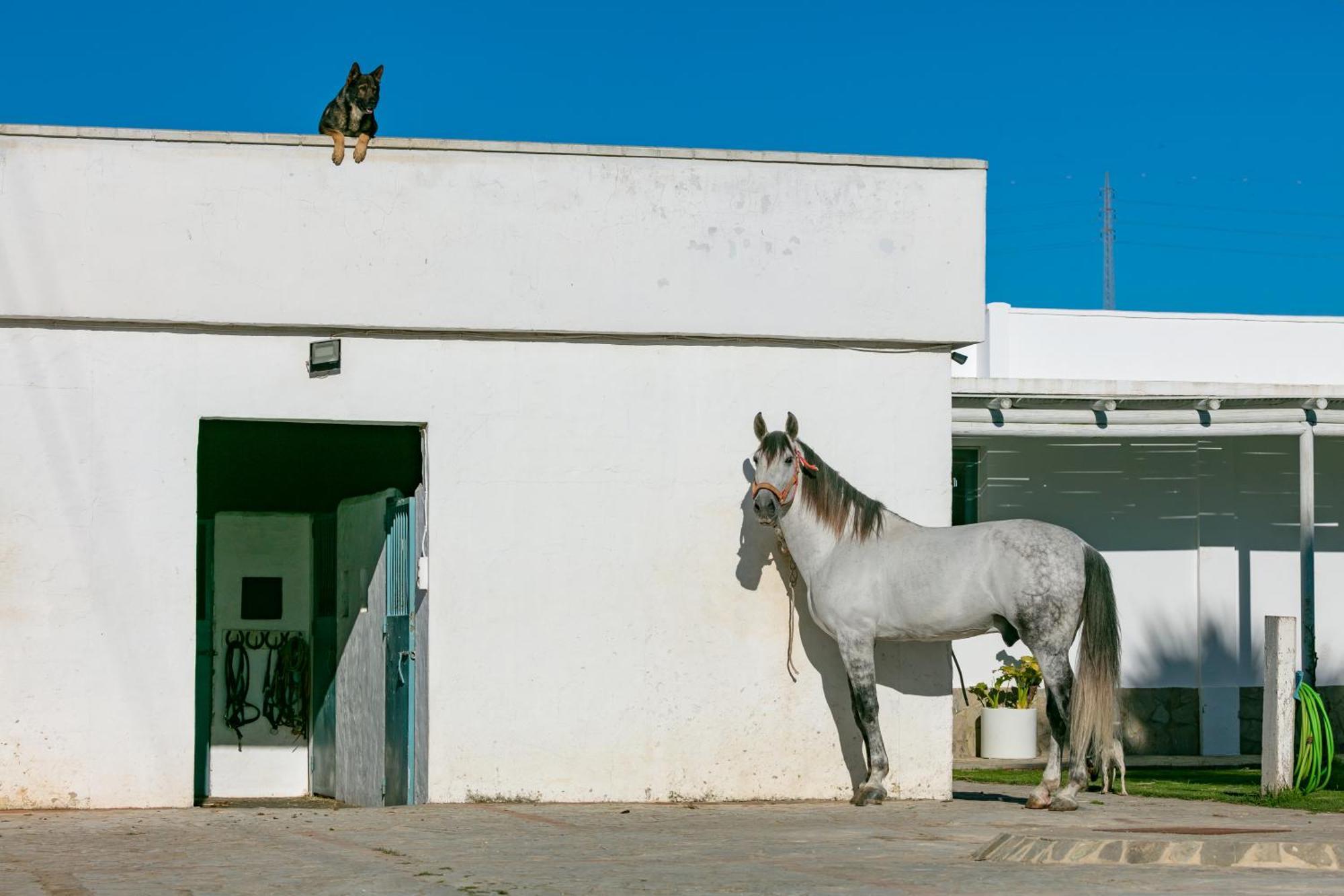 タリファCasa Rural Con Terraza Privada IIIアパートメント エクステリア 写真